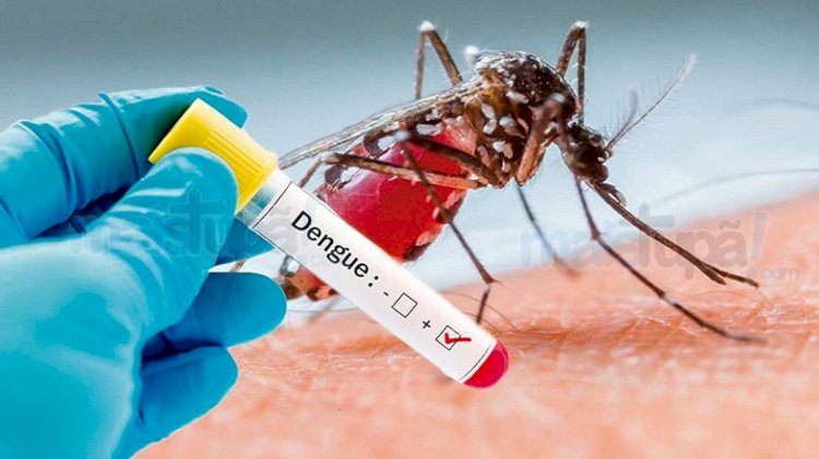 Passos continua registrando maior número de dengue na região
