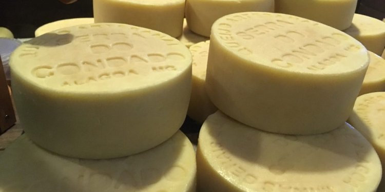 Alagoa promove concurso de melhor queijo