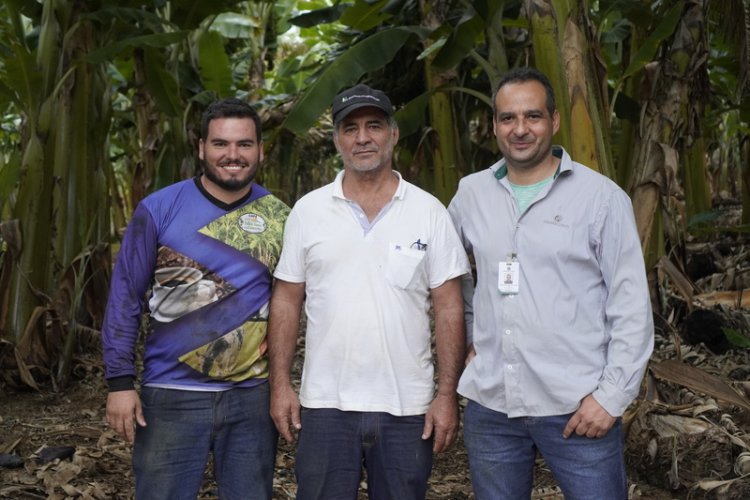 Produtor de banana de Delfinópolis alcança quase o dobro da média nacional