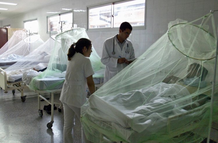 Casos de dengue triplicam em uma semana, mas pico ainda está por vir