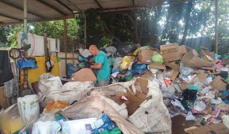 Coleta seletiva aumenta em Uberlândia