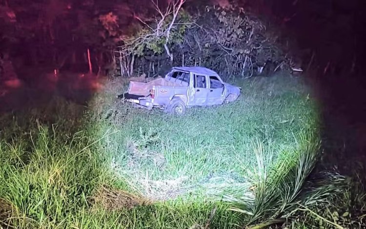Idoso morre após capotar caminhonete e ser atacado por abelhas