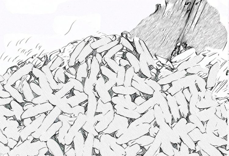 Suã com arroz (e outras saudades)