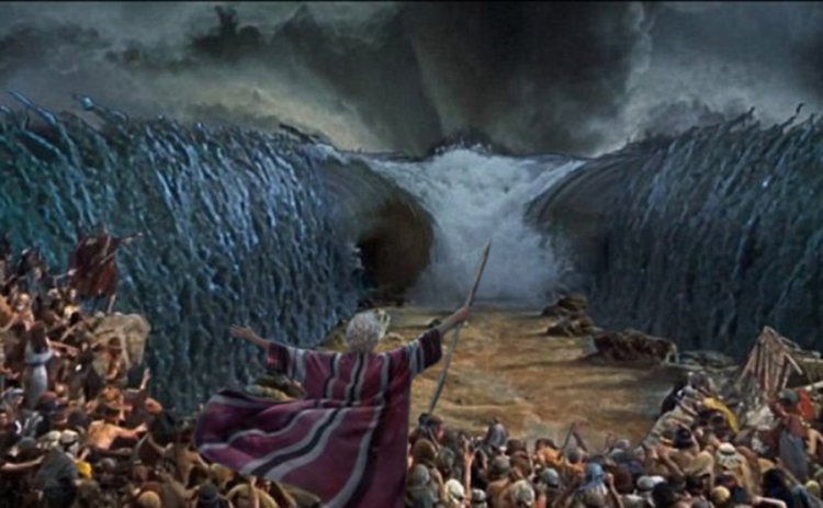 Quando a Vaidade Vira Política de Governo